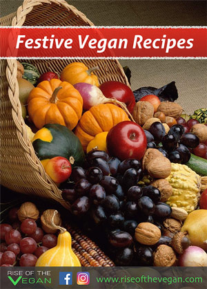 festive vegan recipe book